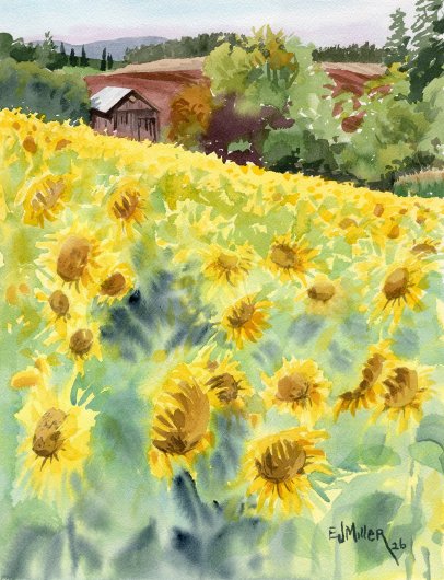 Sunflower Fields at West Union Garden