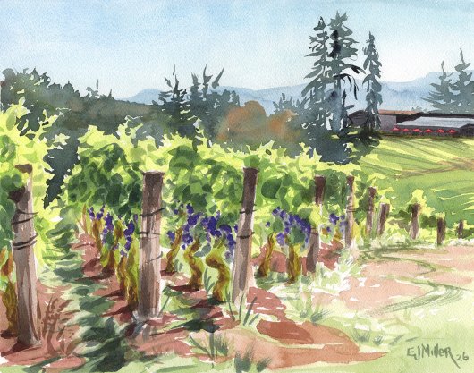 Elk Cove Winery, Before the Harvest, 2026