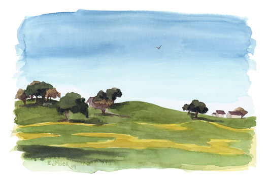 Plein Air, Mustard Fields in Sebastopol, California, California -  artwork by Emily Miller