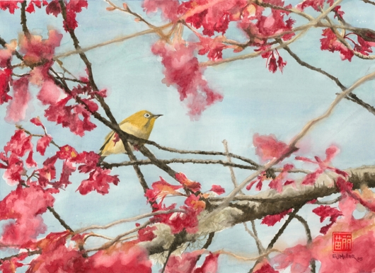 Mejiro in Cherry Blossoms Kauai watercolor painting - Artist Emily Miller's Hawaii artwork of pink, flowers, cherry blossoms, bird, mejiro, japanese white-eye art