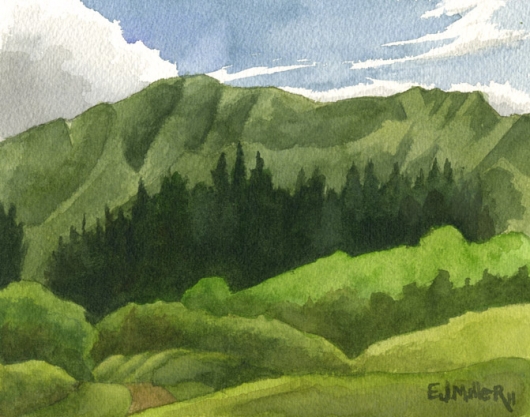 Cook Island Pines, Kahili Mountain Park, Mauka — the mountains - green, mountains artwork by Emily Miller