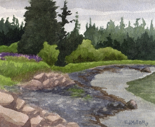 Low Tide and Lupines, Deer Isle, Down East Maine -  artwork by Emily Miller