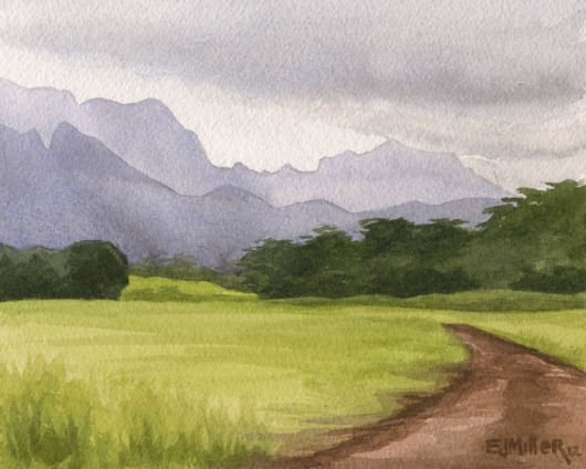 Afternoon mountains, Lihue