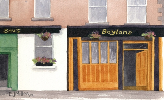 Boylan's pub, Carrickmacross, Ireland, 2012