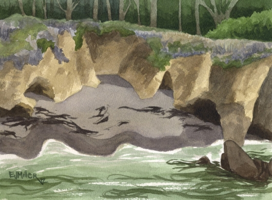 Cove at Point Lobos, Monterey, California -  artwork by Emily Miller