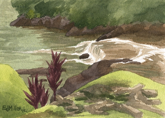 Stream at Kilauea Stone Dam Kauai watercolor painting - Artist Emily Miller's Hawaii artwork of stream, kilauea art