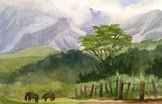 Horses Grazing at Three Corner Ranch, Mauka — the mountains - lihue, mountains, pasture, horses artwork by Emily Miller