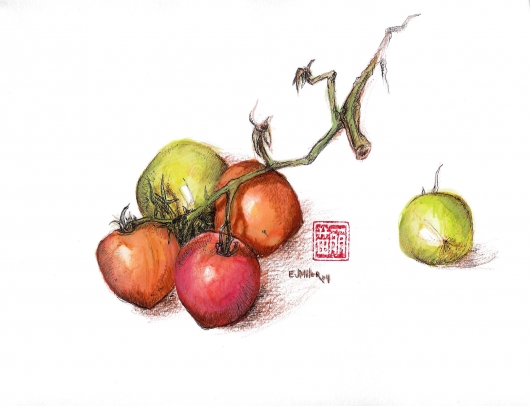 Still Life, Tomatoes, 2004