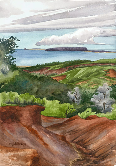 View of Niihau from Waimea Canyon, $600 