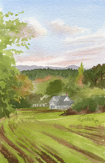 Thatcher Park Sunset, Countryside -  artwork by Emily Miller