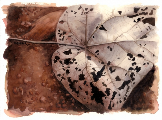 Brown Lace, Flora & Fauna - leaf, brown artwork by Emily Miller