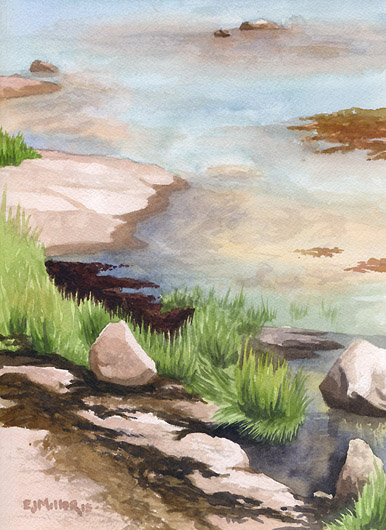 Deer Isle shoreline, high tide, Down East Maine -  artwork by Emily Miller