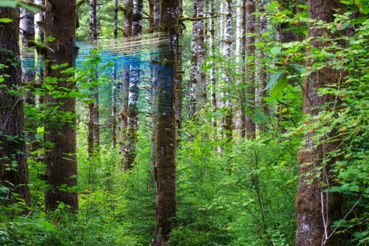  Beams, installations - String art, installation art, outdoor art, Tillamook forest artwork by Emily Miller
