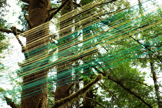  Beams, public art - String art, installation art, outdoor art, Tillamook forest artwork by Emily Miller