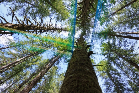  Beams, installations - String art, installation art, outdoor art, Tillamook forest artwork by Emily Miller