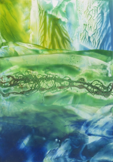 kelp shallows, ocean -  artwork by Emily Miller