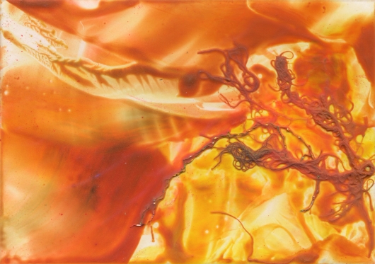 born in fire iv, autumn -  artwork by Emily Miller