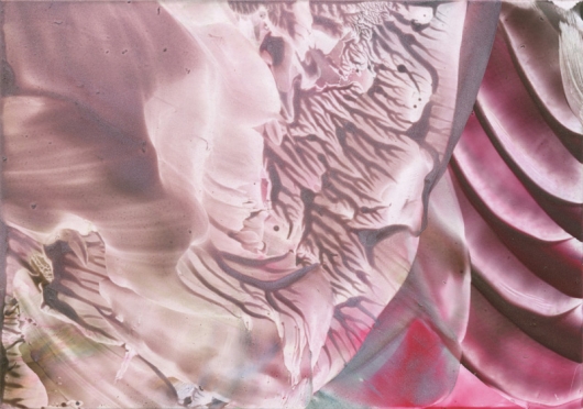 dusky rose, $80