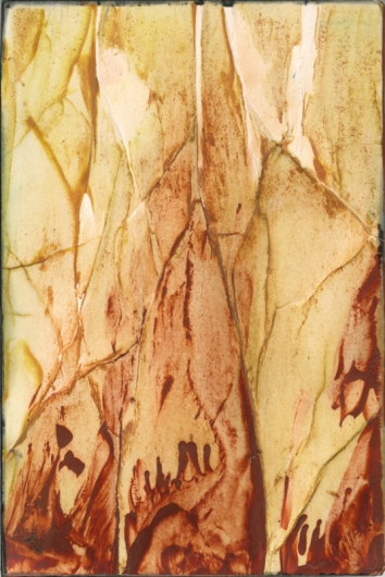 bark tones, autumn -  artwork by Emily Miller