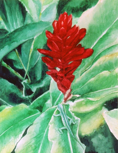 Camouflage, Flora & Fauna - lizard, anole, green, red, ginger, flower artwork by Emily Miller