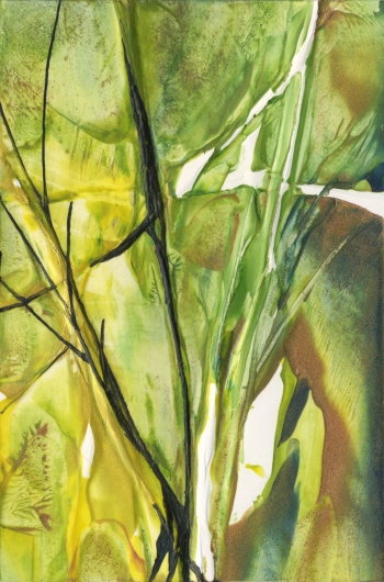 Spring Forest, garden -  artwork by Emily Miller