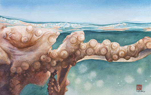 Surfacing Kauai watercolor painting - Artist Emily Miller's Hawaii artwork of octopus, ocean, tentacles art