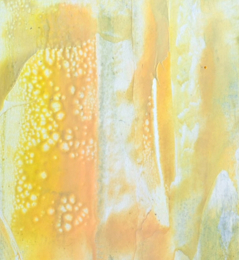  Tall Grass, cascadia winter - abstract art, contemporary art, painting, yellow, black artwork by Emily Miller