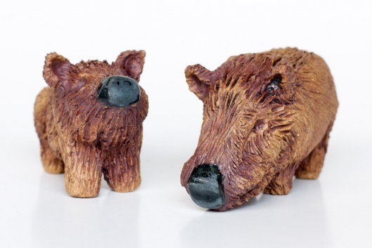 Wild Pig, Menagerie -  artwork by Emily Miller