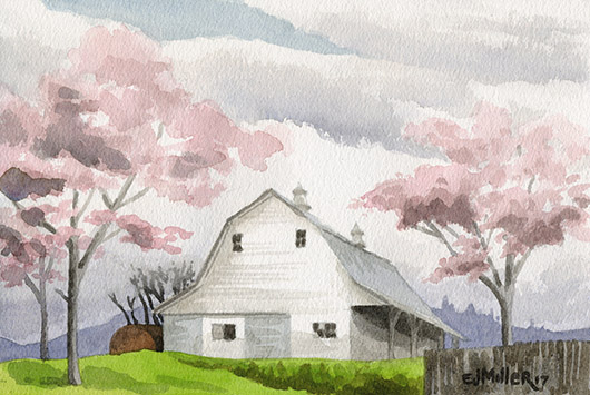 Cherry Blossom Barn, Countryside -  artwork by Emily Miller