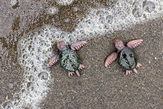  Hatching Turtle, Menagerie -  artwork by Emily Miller