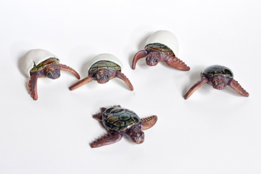  Hatching Turtle, Menagerie -  artwork by Emily Miller