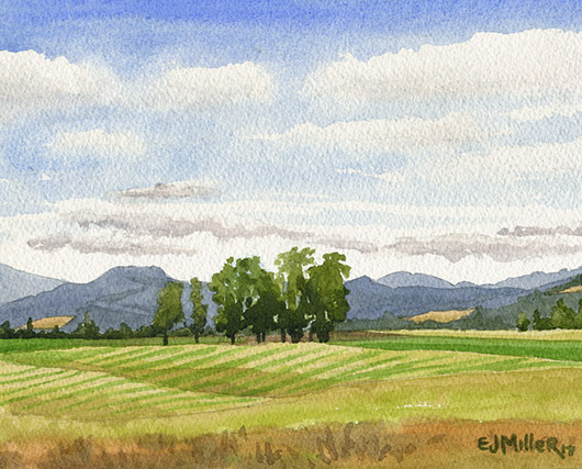 Oregon Summer Fields, Countryside -  artwork by Emily Miller