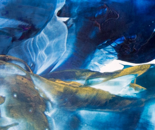 River to Sea: Deep II, River to Sea -  artwork by Emily Miller