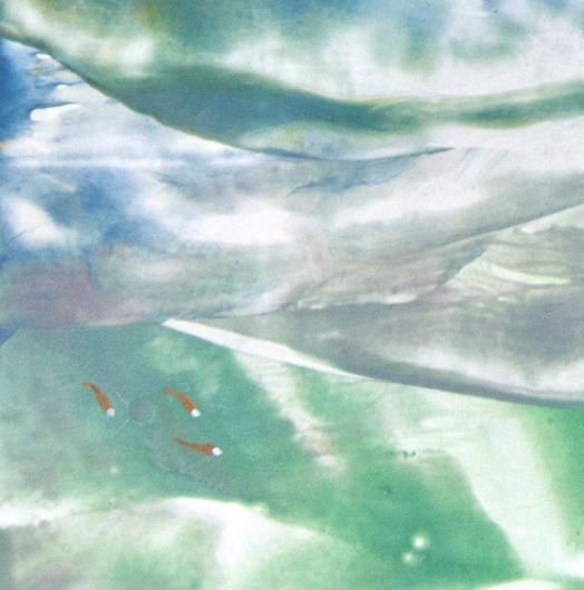  River to Sea: Coastline II, River to Sea -  artwork by Emily Miller