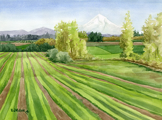 Mt Hood from Tualatin Valley, $400 