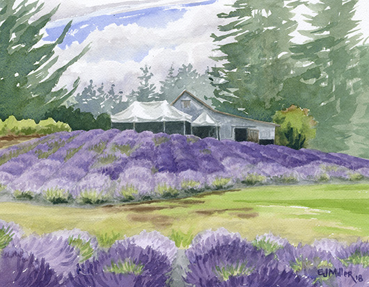 Mist at Wayward Winds Lavender, Countryside - oregon, lavender artwork by Emily Miller