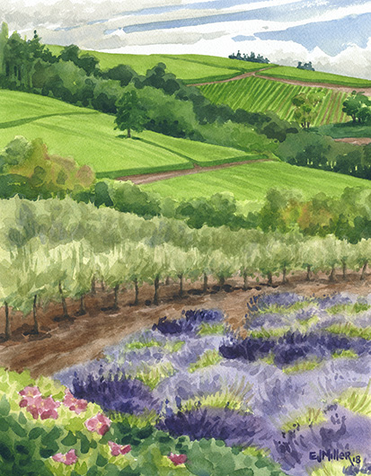 Lavender and Olive Groves, Countryside - oregon, lavender artwork by Emily Miller