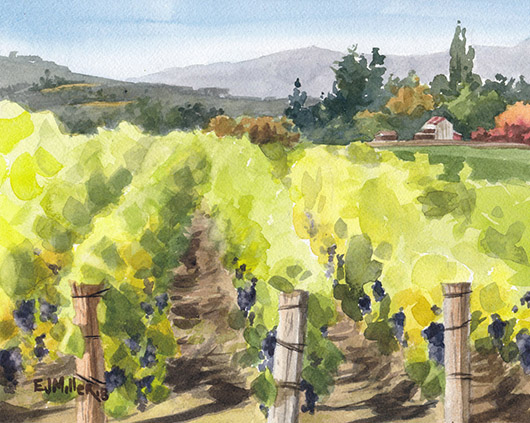 Pinot Noir Grapevines at Montinore Estate, Countryside - winery, vineyard, wine country, tualatin valley, forest grove, montinore artwork by Emily Miller