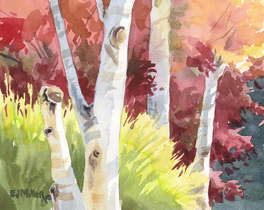 Autumn Sun on Maple and Birch Trees, Countryside - autumn artwork by Emily Miller