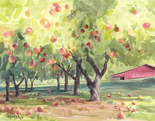 Last Harvest at Fairlight Apple Farm, Countryside -  artwork by Emily Miller