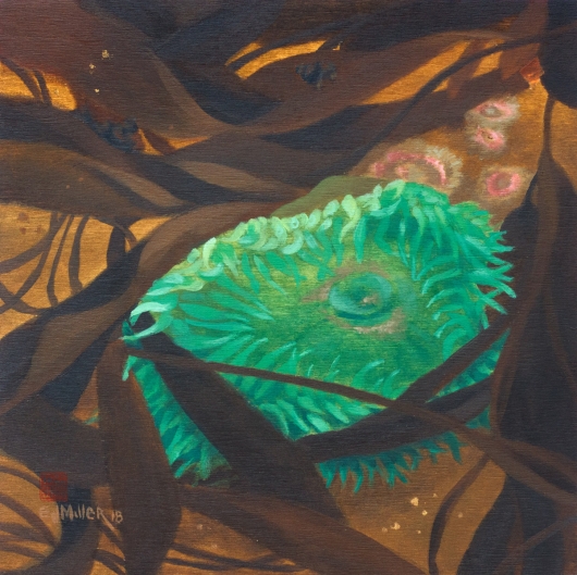 Anemone Study, Oregon Coast -  artwork by Emily Miller