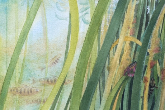 Detail, bottom right: juvenile salmon, shore crab, and Pacific sculpin Eelgrass Meadow, Oregon Coast - ode to the tides artwork by Emily Miller