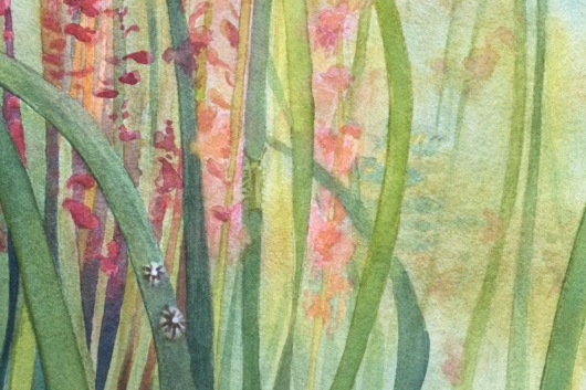 Detail, bottom left: eelgrass limpets and eelgrass isopod Eelgrass Meadow, Oregon Coast - ode to the tides artwork by Emily Miller