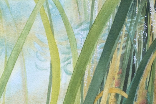 Detail, top right: Pacific herring spawning Eelgrass Meadow, Oregon Coast - ode to the tides artwork by Emily Miller