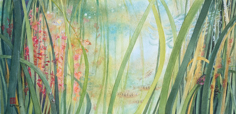 Eelgrass Meadow