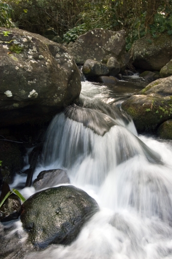 Limahuli Stream,  -  artwork by Emily Miller