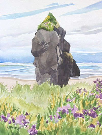 Wildflowers at Pistol River, Oregon Coast - brookings artwork by Emily Miller