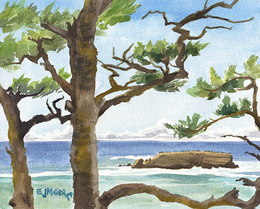 Original watercolor paintings by Emily Miller