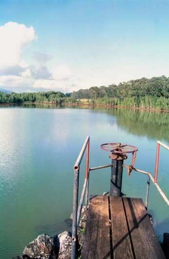 Koloa Reservoir,  -  artwork by Emily Miller