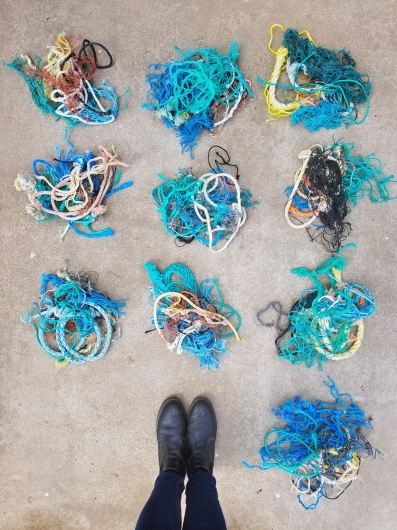 Ghost Net Fish Kits, Ghost Net -  artwork by Emily Miller